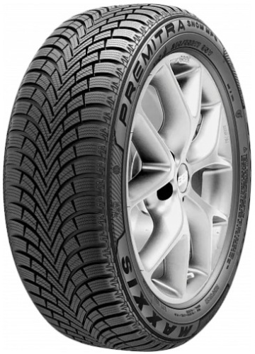255/40 R19 Maxxis WP6 100W