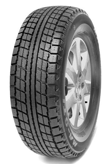 195/60 R15 MAXXIS MASTL фото