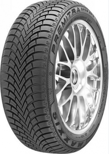 225/55 R16 Maxxis WP6 99H фото